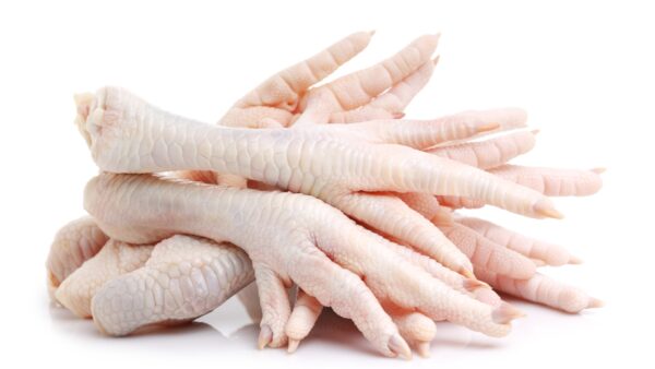 Chicken feet for dogs and cats